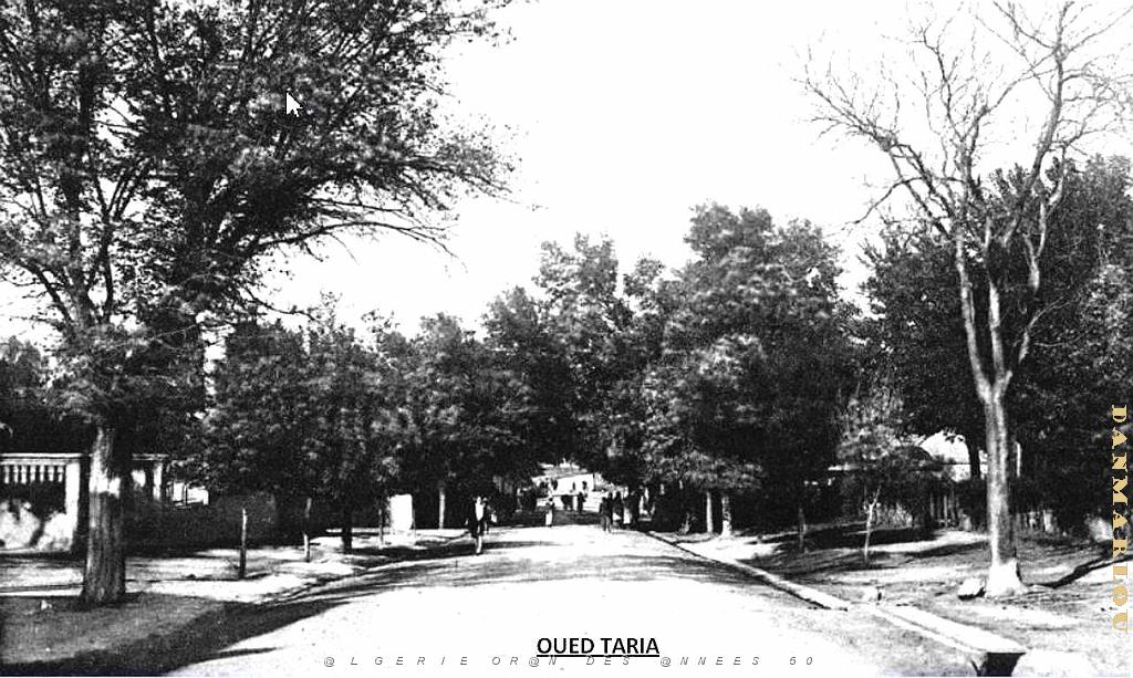 OUED TARIA 09.jpg